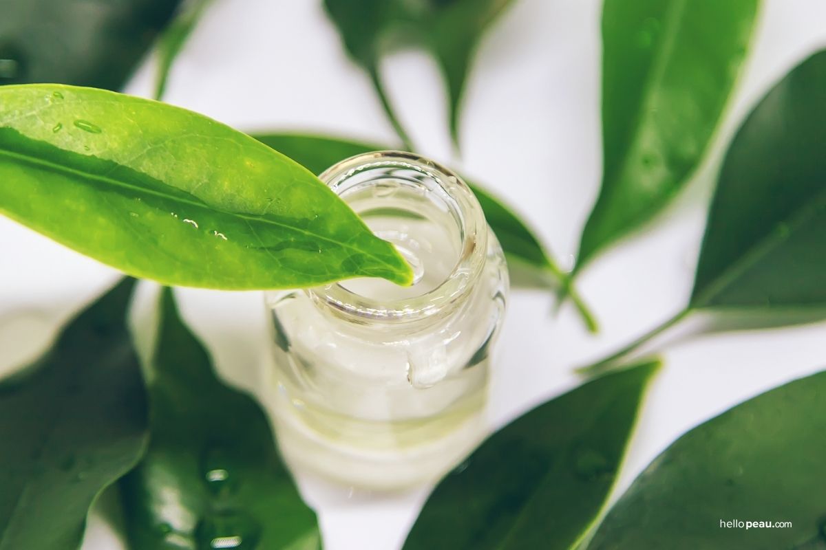 Tea Tree Oil for Pimples